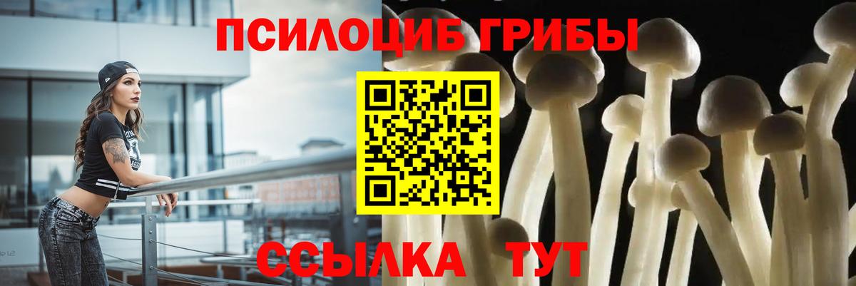 Псилоцибиновые грибы MAGIC MUSHROOMS  Вход с VPN  Воскресенск 